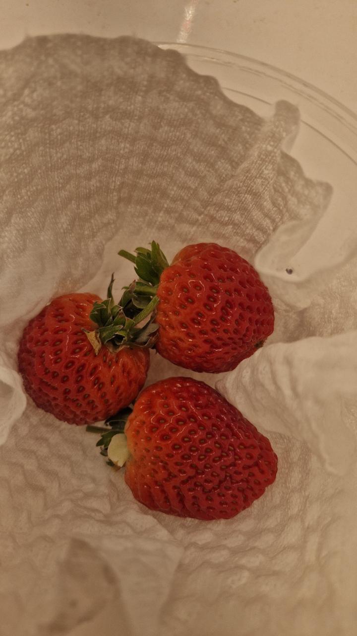 Imagen de galeria 13